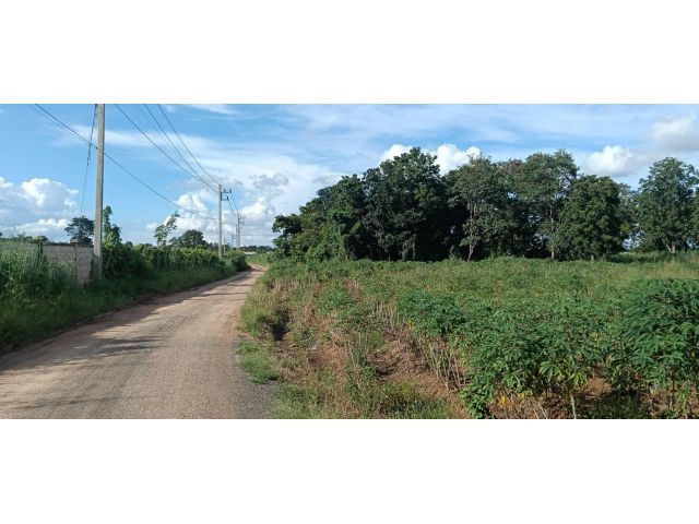 ขายที่ดินตำบลธงชัยเหนือ อำเภอปักธงชัย นครราชสีมา 84 ไร่ เอกสาร นส.3ก