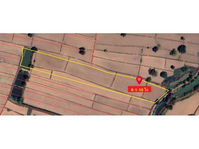 ขายถูกที่ดินตำบลธงชัยเหนือ อำเภอปักธงชัย นครราชสีมา 9-1-0 ไร่