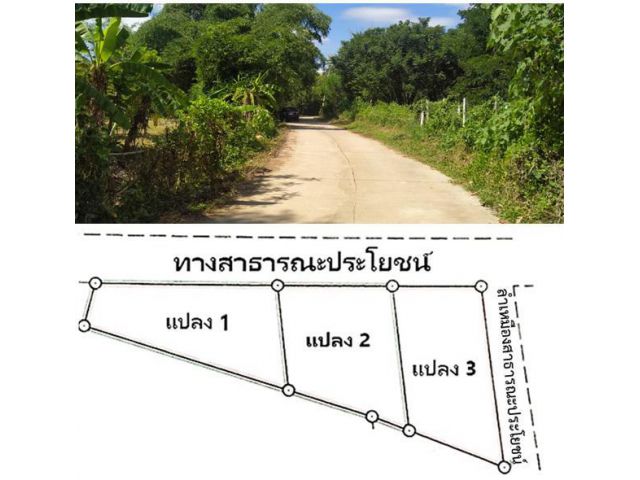 ขายที่ดินขนาด 110 ตรว. ราคา 250,000 บ. จำนวน 3 แปลง ใกล้ตลาดสดและเซเว่น เหมาะสำหรับสร้างบ้านพักอาศัยรวมโอน
