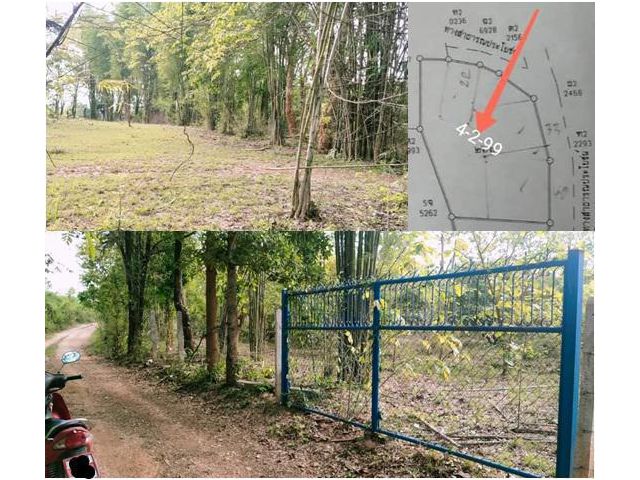 ขายที่โฉนด 4ไร่2งาน99ตรว ยกแปลงราคา790,000รวมโอน