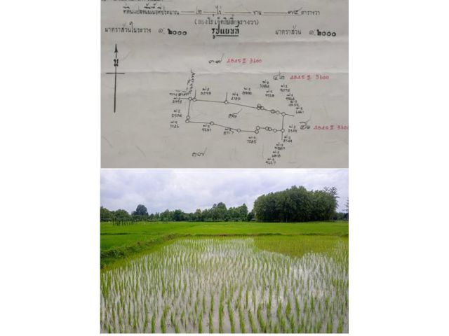 ขายที่นาแปลงสวย ขนาด 2 ไร่ 74 ตารางวา ราคา 390,000 บาท ***ผ่อนได้ รวมโอน***