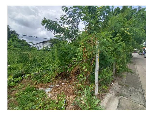 ขายที่ดิน 99 ตารางวา ซอยศรีด่าน 3/1 แยก 4 ซอยแบริ่ง ถนนศรีนครินทร์ ตำบลสำโรงเหนือ อำเภอเมืองสมุทรปราการ