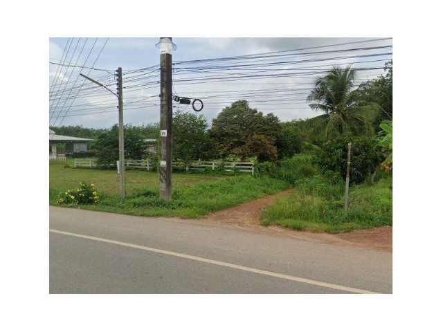 ขายที่ดิน 62 ไร่ ใกล้โรงพยาบาลวังจันทร์ ต.ชุมแสง อ.วังจันทร์ จ.ระยอง