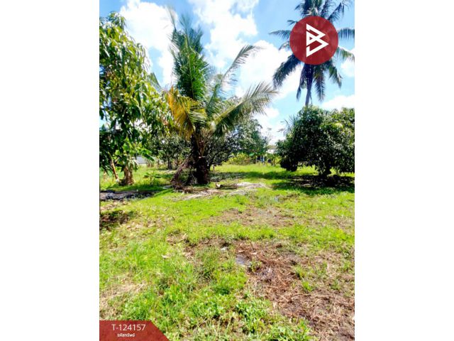 ขายที่ดิน เนื้อที่ 250 ตารางวา อ.พานทอง ชลบุรี