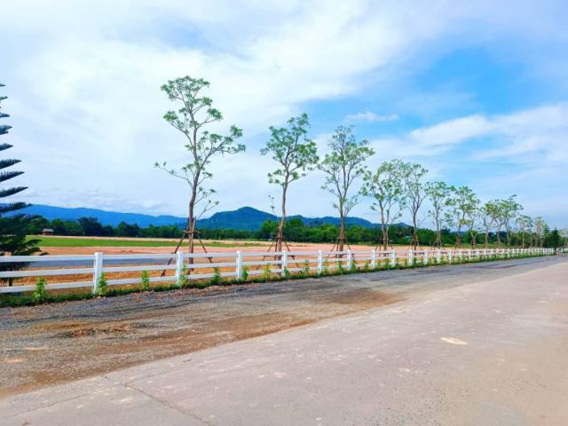 ขายที่ดินจัดสรรพรหมณีติดบรรยากาศวิวเขา 1 ไร่ ใกล้ถ.สุวรรณศร 33และแยก จปร. 3.3 กม. อ.เมืองนครนายก จ.นครนายก