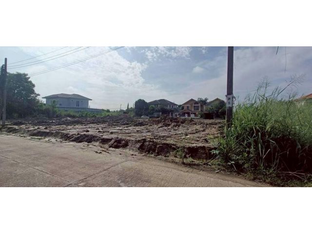 ขายที่ดินหลังสนามหลวง 2 เนื้อที่ 1 ไร่ ติดถนนคอนกรีต ถมสูงกว่าถนน ซ.ทวีวัฒนา 9 เขตตลิ่งชัน กทม.