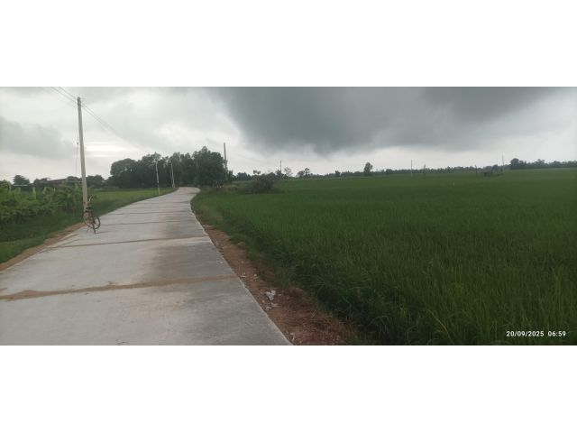 ขายที่ดินแปลงนางฟ้า