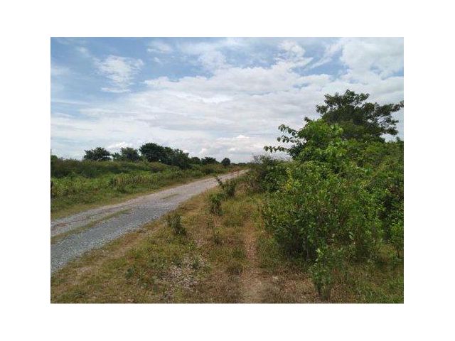 ขายที่ดิน 400 ไร่ ต.ช้างซ้าย อ.พระพรหม จ. นครศรีธรรมราช