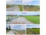 (โฉนด) ที่ดิน 224 ตรว. (พร้อมถม) เหมาะที่อยู่อาศัย หน้าติดถนนลาดยาง คลองน้ำ ไฟฟ้า น้ำประปา (พร้อมใช้) ม.10 ต.ดอนคา อ.อู่ทอง จ.สุพรรณบุรี