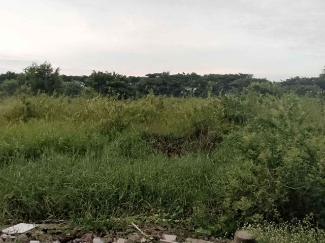 ขายที่ดินแปลงใหญ่ 8 ไร่ หน้ากองบิน 4 อ.ตาคลี จ.นครสวรรค์