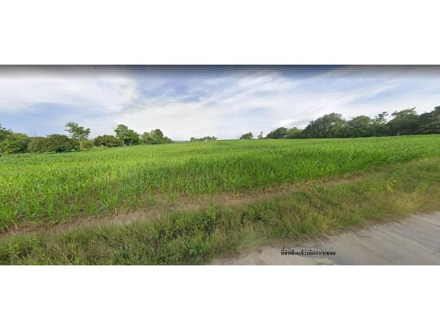 ขายที่ดินเพชรบูรณ์ วังชมพู กว้างติดถนน สระบุรี-หล่มสัก เพียง 500