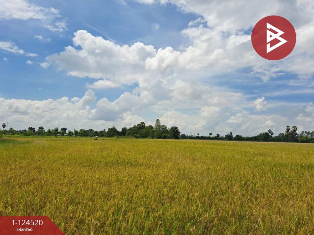 ขายที่ดินแปลงใหญ่ เนื้อที่ 44 ไร่ 2 งาน หนองฉาง อุทัยธานี