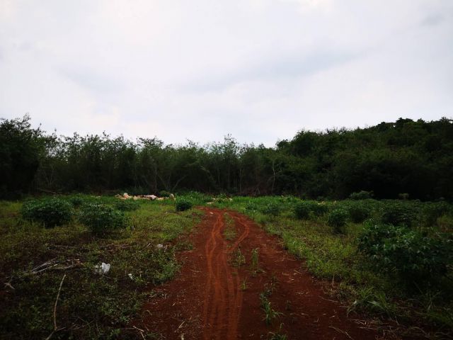 ขายที่ดิน 8-2-73 ไร่ ติดภูเขา ใกล้สนามฟุตบอลเมืองทอง เขาใหญ่ อ.ปากช่อง ที่ดินโฉนด ราคาไร่ละ 4.5 ล้านบาท
