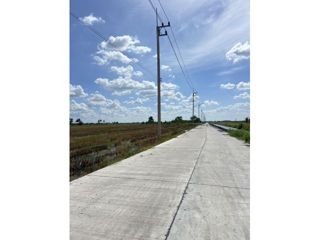 ที่ดินสวยติดถนนคอนกรีต แปลงละ2ไร่ (แบ่ง1ไร่ ได้) คลอง10 ลำลูกกา เหมาะทำบ้าน โกดัง o86-3ol-6l6l