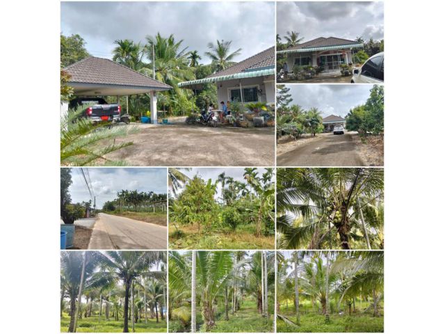 บ้านสวนพร้อมอยู่ 2ไร่ 3งาน 74ตร.วา️