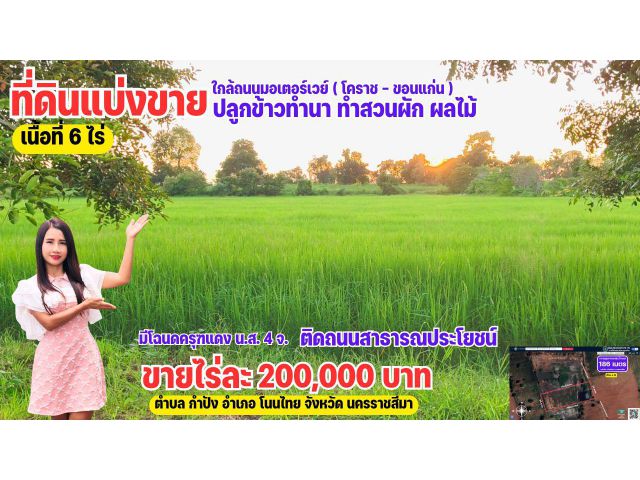 ที่ดินแบ่งขายราคาถูก วิวธรรมชาติ ใกล้ถนนมอเตอร์เวย์ โคราช-ขอนแก่น ใกล้ถนนสุรนารายณ์ โนนไทย โคราช