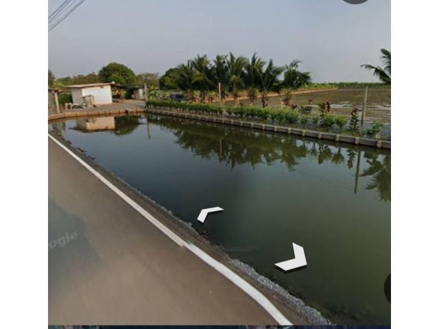 ขายที่ดินแปลงสวยเขตบางใหญ่ ทำเลดี ติดถนนลาดยาง ติดคลองสาธารณะ เนื้อที่ 11-0-16 ไร่ เหมาะทำธุรกิจจัดสรรหรือธุรกิจ