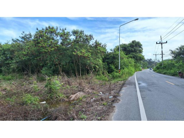 ขายที่ดินติดถนนใหญ่ท้องเนียน