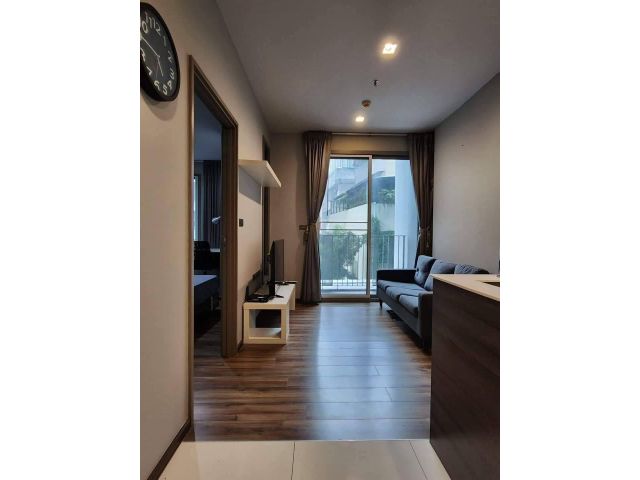 Ceil by Sansiri for rent 1 bedroom 1 bathroom 35 sqm rental 18,000 baht/month