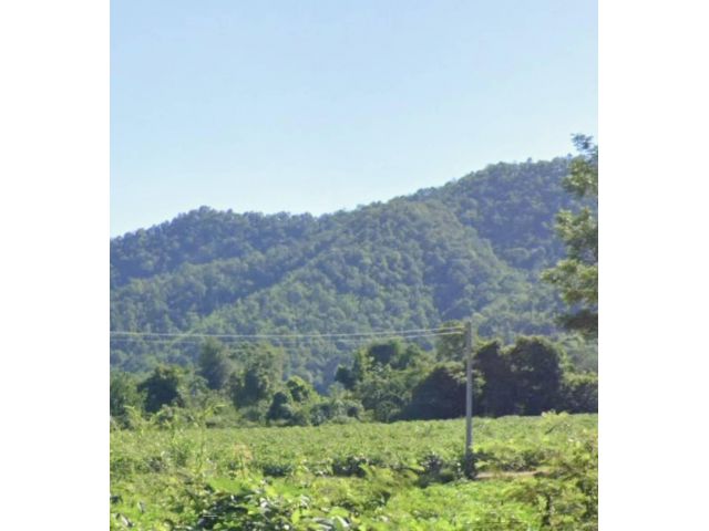 ขายที่ดิน 18 ไร่ วิวภูเขา