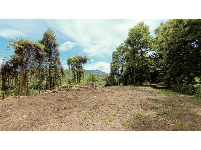 ขายที่สวนเป็นเนิน ห้วยแก้ว แม่ออน 3 ไร่ ขาย 8 แสนบาท วิวสวยหลักสิบล้าน ติดลำห้วย