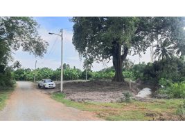 (โฉนด) ที่ดิน 224 ตรว. (พร้อมถม) เหมาะที่อยู่อาศัย หน้าติดถนนลาดยาง คลองน้ำ ไฟฟ้า น้ำประปา (พร้อมใช้) ม.10 ต.ดอนคา อ.อู่ทอง จ.สุพรรณบุรี