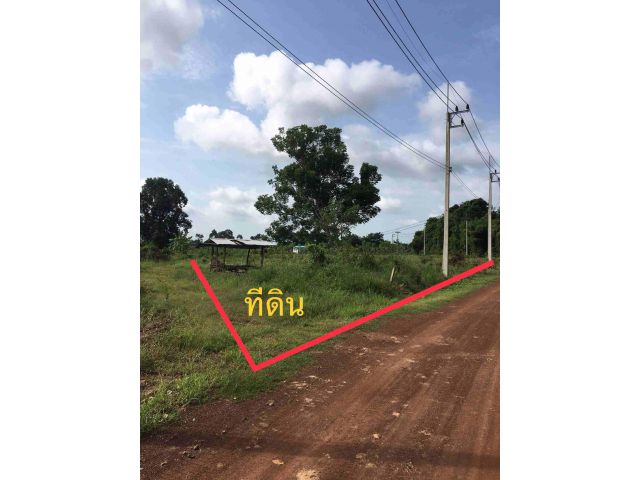 ขายที่ดินหัวหว้า 1 ไร่ เหมาะทำสวน ใกล้ถนนสี่เลนเส้น3070-2กม. อ.ศรีมหาโพธิ ปราจีนบุรี