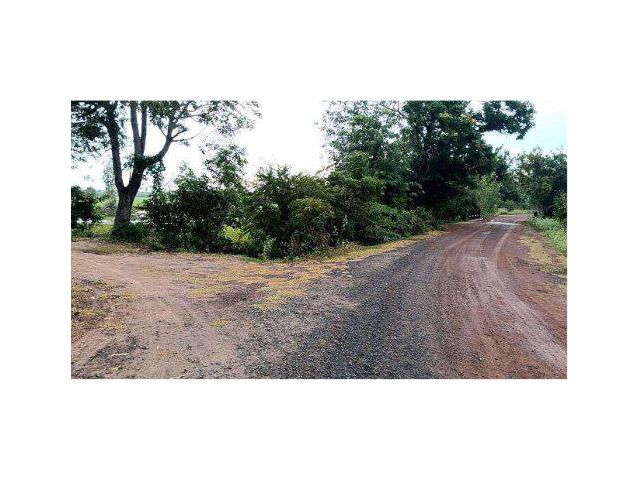 ขายที่ดิน 35 ไร่ ต.เหล่าหลวง อ.เกษตรวิสัย จ.ร้อยเอ็ด