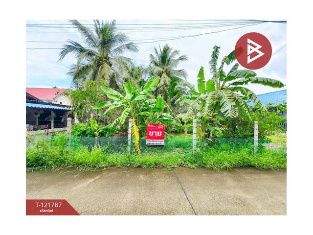 ขายด่วนที่ดิน เนื้อที่ 95 ตารางวา ต.บางยาง สมุทรสาคร ทำเลดี ติดถนนคอนกรีตสาธารณะ