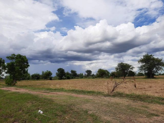 L721 ที่นาแบ่งขาย/ยกแปลง ห้วยกระเจา กาญจนบุรี