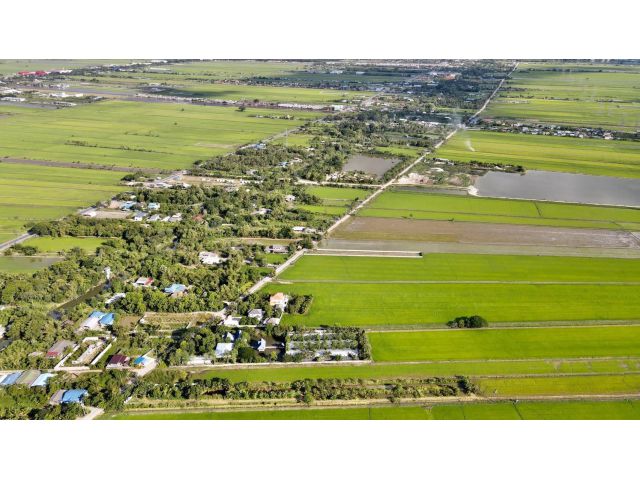 L723 ที่ดินแบ่งขาย ล็อกละ 1 ไร่ ลำลูกกา ปทุมธานี