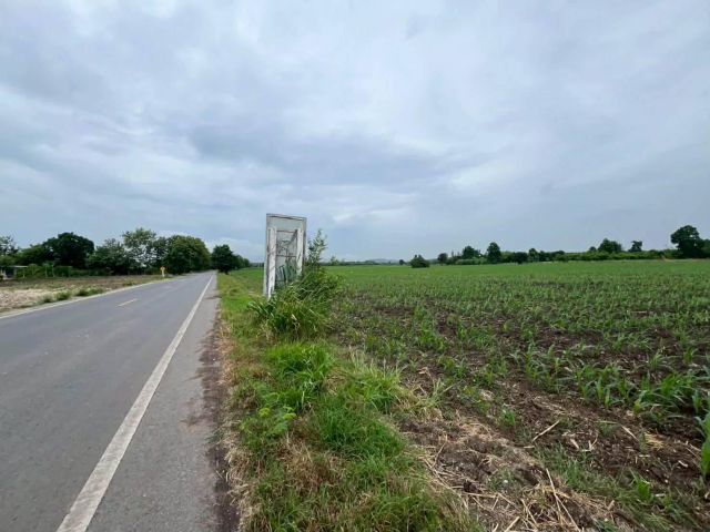 ขายที่ดิน 30 ไร่ ติดถนน4020 ต.คำพราน อ.วังม่วง จ.สระบุรี