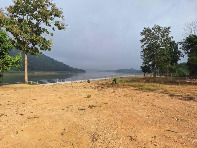 ที่สวยติดริมโขงเชียงคาน โฉนด 2 ไร่ 2 งาน 6 ล้าน บรรยากาศดีมากเหมาะกับบ้านพักตากอากาศ