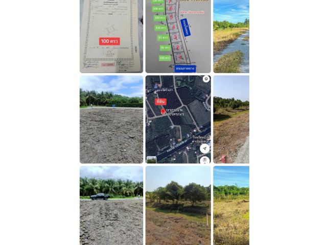 ที่ดินแบ่งขายที่ดินทำเลสวนมะพร้าว-ชอยโรงเรียนกิมลี้ ใกล้ อบต สวนส้ม