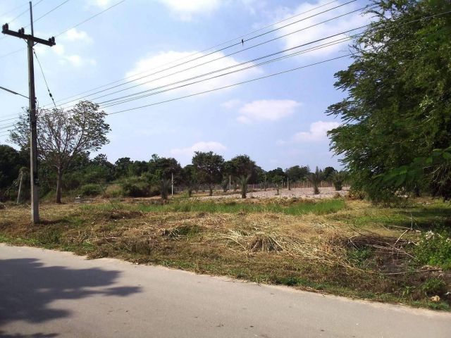 L733 ขายที่ดินสวนมะม่วง-ลำใย 25 ไร่ ราชบุรี