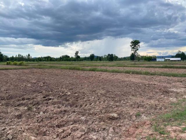 L735 ขายที่ดินใกล้ตัวอำเภอจอมบึง ยกแปลง/แบ่งขาย 13 ไร่ ราชบุรี