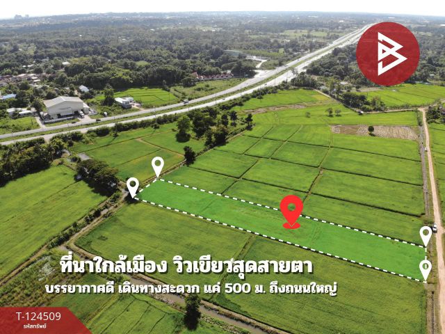 ขายที่ดิน เนื้อที่ 2 ไร่ 2 งาน 23.6 ตร.วา ศิลา ขอนแก่น