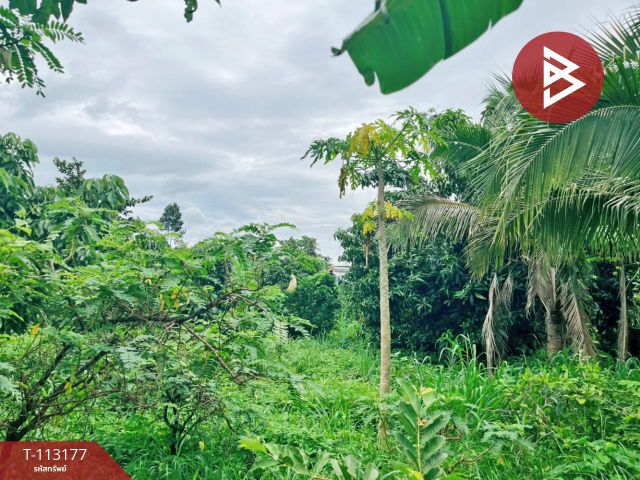 ขายที่ดิน เนื้อที่ 3 งาน 32.4 ตร.วา บ้านไร่ อุทัยธานี