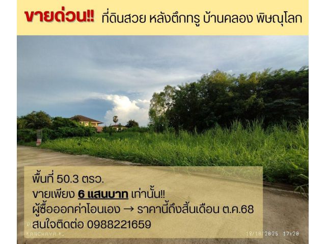 ขายด่วน!! ที่ดินบ้านคลอง พิษณุโลก