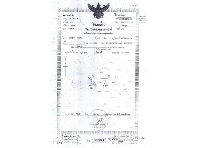 ที่ดินราคาถูก 102 ตรว. อ.วังสะพุง จ.เลย ขายเพียง 135,000 เท่านั้น