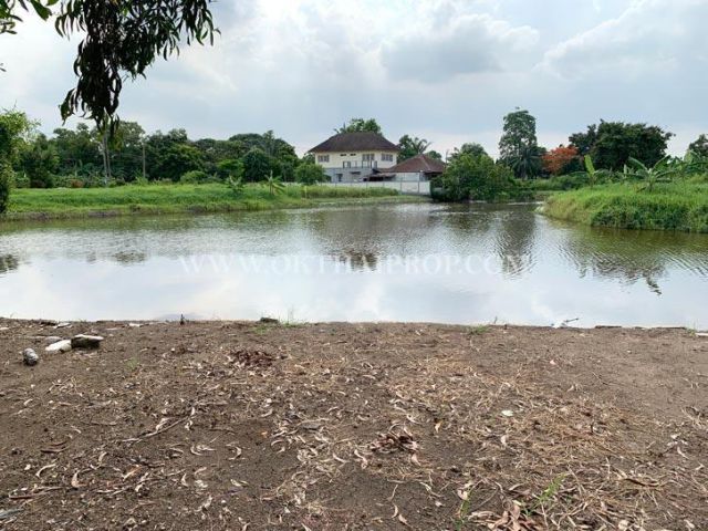 ที่ดิน หมู่บ้านกฤษดานคร 25 ถนนประชาร่วมใจ คลองสามวา