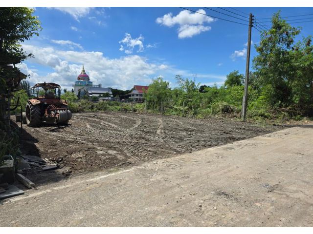 ขายที่70ตรว บางคล้า ฉะเชิงเทรา  หลังวัดหัวสวน ใกล้ถนน304