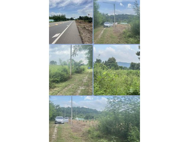 ที่ดินสวย วิวเขา