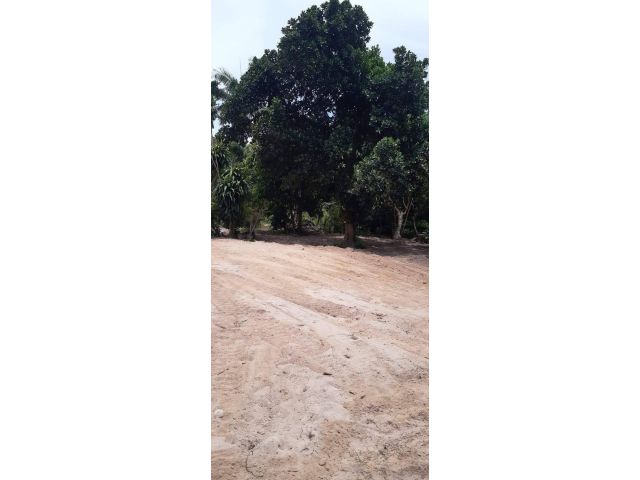 L750 ขายที่ดิน 300 ตรว บางละมุง ชลบุรี