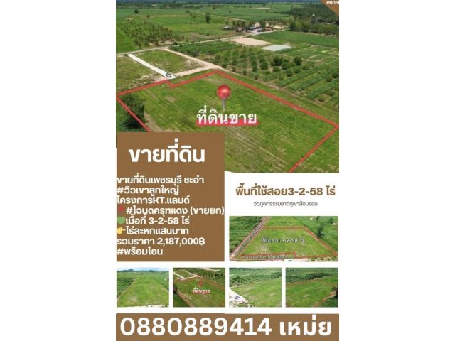 ที่ดิน ชะอำ ไร่ละ 6 แสนขาย 3-2-58 ไร่