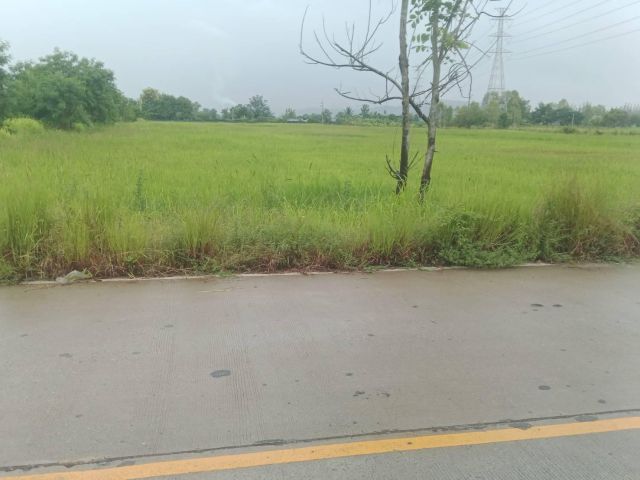 ขายที่ดิน 11 ไร่กว่าสวยแราคาดี บ้านธิลำพูนสร้างโรงงานได้ทำเลดีใกล้ถนน ชม.-ลป. 1 กม. ใกล้สนามบินเชียงใหม่แห่ง 2 แค่ 5 กม.
