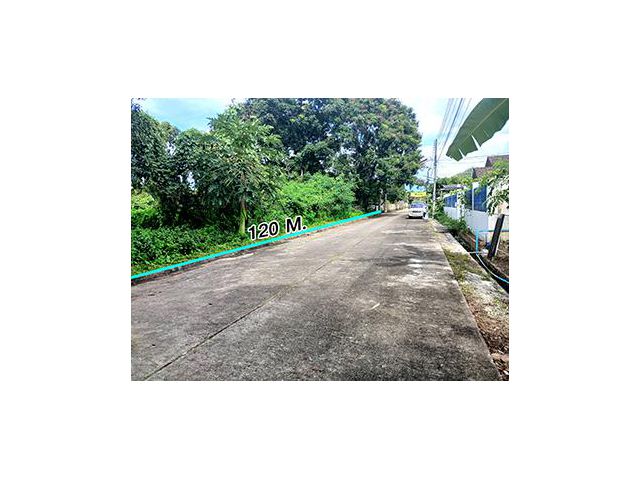 ขายที่ดินวิวสวยๆแปลงหัวมุม ถนนรอบ 4 ด้านโซนตรงกลาง ในหมู่บ้านสวนนนทรีย์แยกรวมโชค แบ่งแยกโฉนดเรียบร้อบแล้วพร้อมสร้างบ้าน