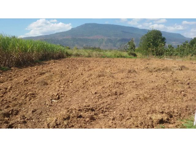 ขายที่ดินโฉนด ใกล้จุดสร้างกระเช้า 8ไร่เศษ ไร่ละ350,000