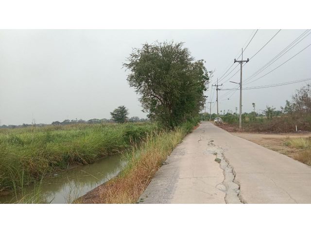 ขายที่ดินโฉนด เนื้อที่ 30 ไร่ ทุ่งนา ติดถนนคอนกรีต