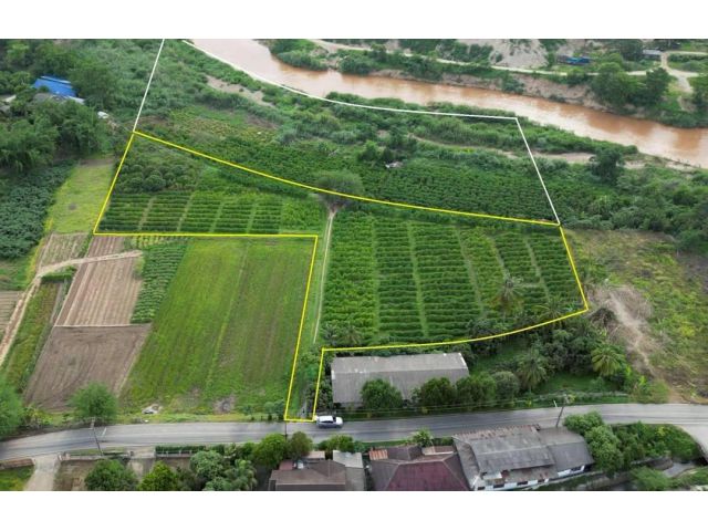 #ขายที่ดินเชียงใหม่ ติดแม่น้ำปิง​ ยกแปลง 5.5 ล้าน เนื้อที่​โฉนด 4-2-24 ไร่+ที่งอกอีก​ 2 ไร่